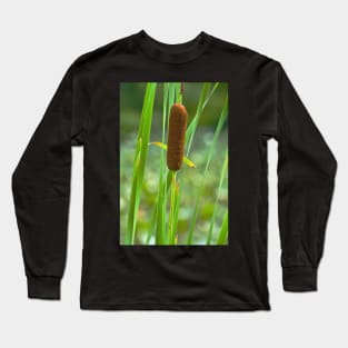 Cattail Long Sleeve T-Shirt